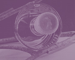 background3